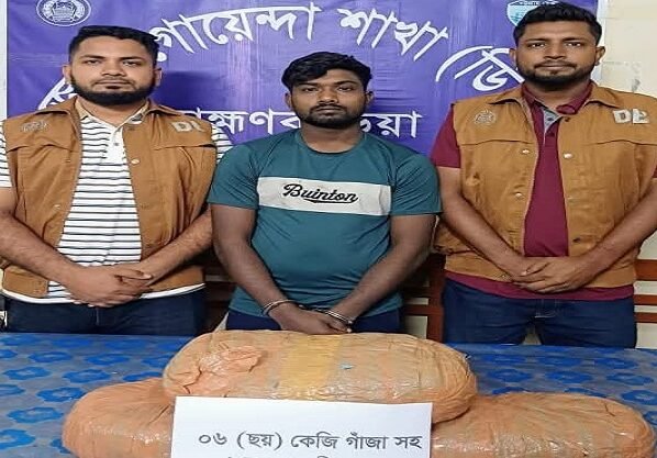 ব্রাহ্মণবাড়িয়ায় ৬ কেজি গাঁজাসহ এক মাদক কারবারি গ্রেফতার