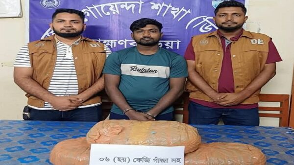 ব্রাহ্মণবাড়িয়ায় ৬ কেজি গাঁজাসহ এক মাদক কারবারি গ্রেফতার