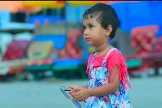 শেরপুরে সড়ক দুর্ঘটনায় এনসিপি নেতার কন্যা শিশুর মৃত্যু