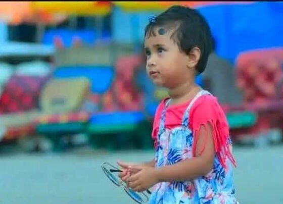 শেরপুরে সড়ক দুর্ঘটনায় এনসিপি নেতার কন্যা শিশুর মৃত্যু