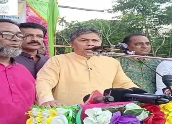 গলাচিপায় হাসান মামুনের আগমনে জনতার ঢল, উৎসবমুখর জনসভা প্রাঙ্গণ