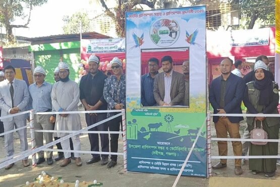 দেবীগঞ্জে প্রাণীসম্পদ সপ্তাহ উপলক্ষে প্রদর্শনী অনুষ্ঠিত