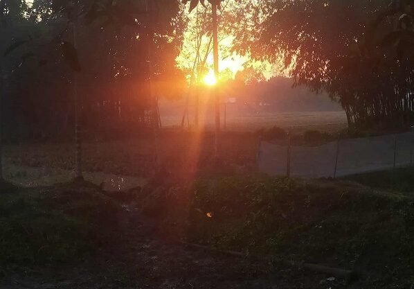 পঞ্চগড়ে ঝলমলে রোদে বাড়ছে শীতের দাপট, কমেনি প্রকোপ