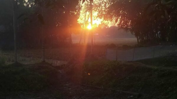 পঞ্চগড়ে ঝলমলে রোদে বাড়ছে শীতের দাপট, কমেনি প্রকোপ