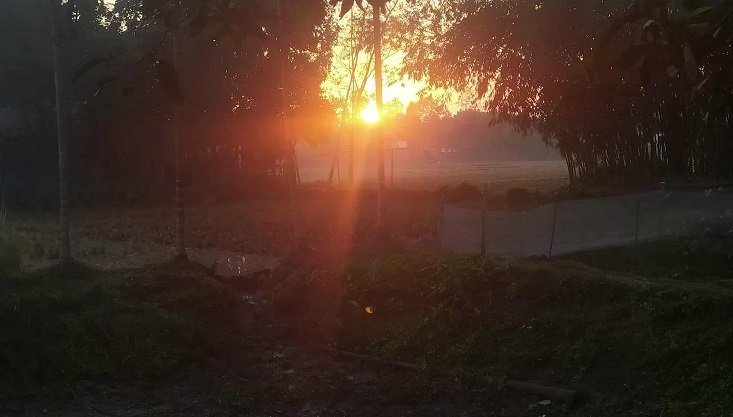 পঞ্চগড়ে ঝলমলে রোদে বাড়ছে শীতের দাপট, কমেনি প্রকোপ