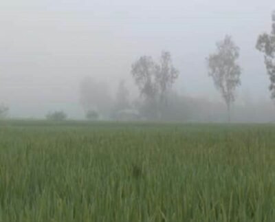 শীতের শুরুতেই কুয়াশায় ঢাকা পড়ছে উত্তরের জেলা পঞ্চগড়