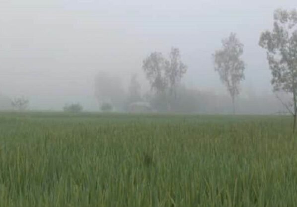 শীতের শুরুতেই কুয়াশায় ঢাকা পড়ছে উত্তরের জেলা পঞ্চগড়