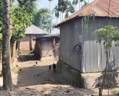 পঞ্চগড়ে জমি নিয়ে বিরোধের জেরে মারধর, গাছ কাটার অভিযোগ