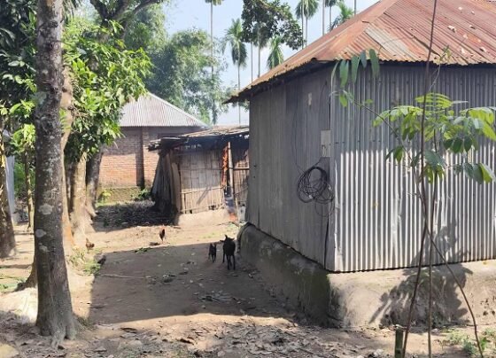 পঞ্চগড়ে জমি নিয়ে বিরোধের জেরে মারধর, গাছ কাটার অভিযোগ