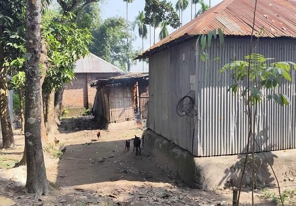 পঞ্চগড়ে জমি নিয়ে বিরোধের জেরে মারধর, গাছ কাটার অভিযোগ