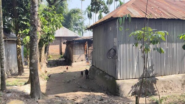 পঞ্চগড়ে জমি নিয়ে বিরোধের জেরে মারধর, গাছ কাটার অভিযোগ