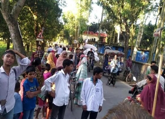 ঠাকুরগাঁওয়ে নসিমনের চাকায় পিষ্ট হয়ে স্কুল ছাত্রের মৃত্যু