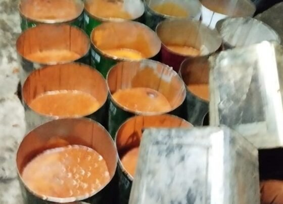 ফরিদপুরে সাড়ে ৬ হাজার কেজি ভেজাল গুড় জব্দ