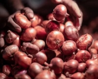 আজ থেকে সীমিত আকারে পেঁয়াজ আমদানির অনুমতি দেবে সরকার