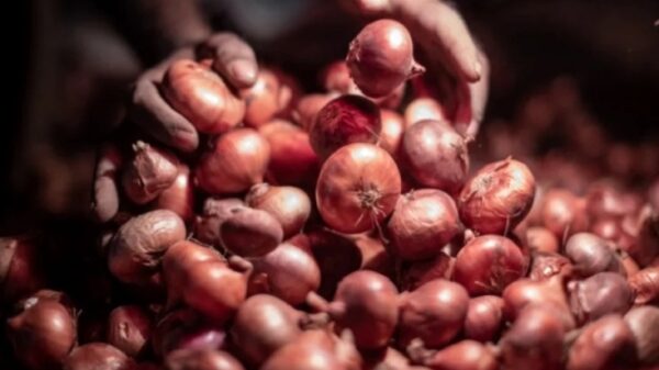 আজ থেকে সীমিত আকারে পেঁয়াজ আমদানির অনুমতি দেবে সরকার