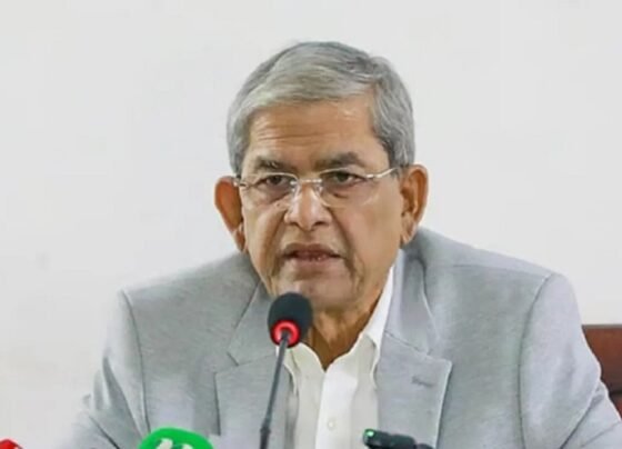 খালেদা জিয়ার অবস্থা অপরিবর্তিত থাকলে শিগগিরই ফিরবেন তারেক রহমান: মির্জা ফখরুল