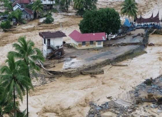 ইন্দোনেশিয়ায় ভয়াবহ বন্যা-ভূমিধস: মৃতের সংখ্যা ৯০০ ছাড়াল