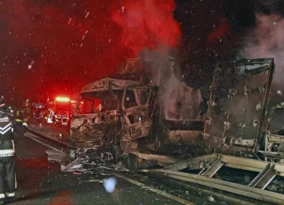 জাপানে মহাসড়কে ৫০ গাড়ির সংঘর্ষ, নিহত ২