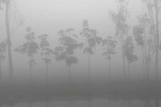 পঞ্চগড়ে বাড়ছে শীত, তাপমাত্রা ১২ ডিগ্রিতে