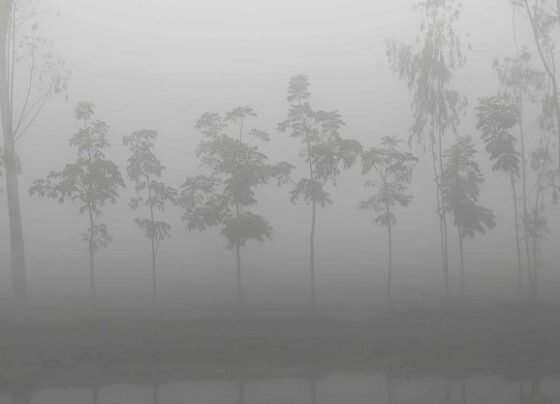 পঞ্চগড়ে বাড়ছে শীত, তাপমাত্রা ১২ ডিগ্রিতে