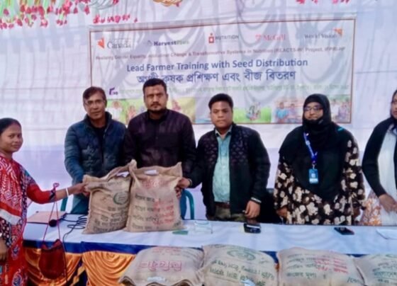 ঠাকুরগাঁওয়ে বিনামূল্যে কৃষকের মাঝে পুষ্টিসমৃদ্ধ জিংক ধানের বীজ বিতরণ