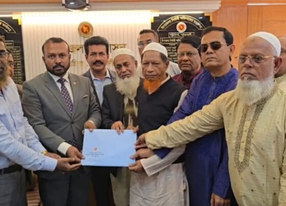 পটুয়াখালী-৩ আসন মনোনয়ন নিলেন হাসান মামুন