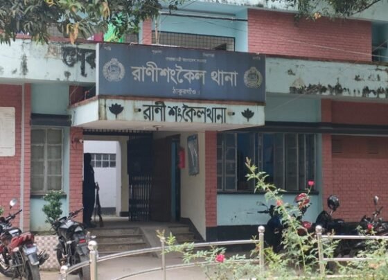 ঠাকুরগাঁওয়ে ডাব পারতে গিয়ে ব্যবসায়ীর মৃত্যু