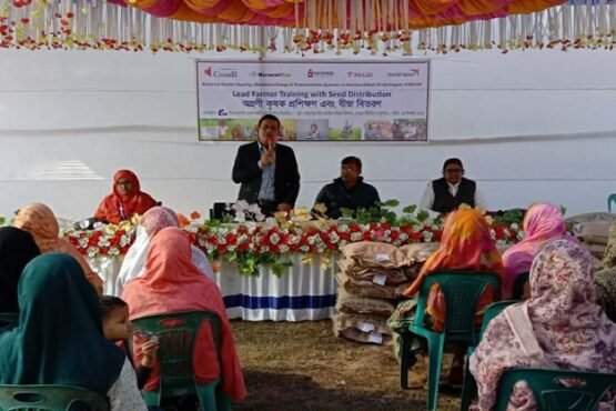 ঠাকুরগাঁওয়ে জিংক ধানের সম্প্রসারণে অগ্রণী কৃষক প্রশিক্ষণ ও বীজ বিতরণ