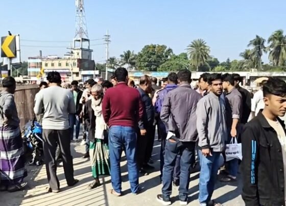 গাংনীতে দুই মোটরসাইকেলের মুখোমুখি সংঘর্ষে স্কুল ছাত্র নিহত