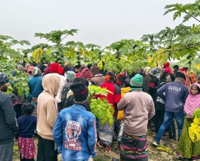 মেহেরপুরের হাড়াভাঙ্গা মাঠ থেকে যুবকের মরদেহ উদ্ধার