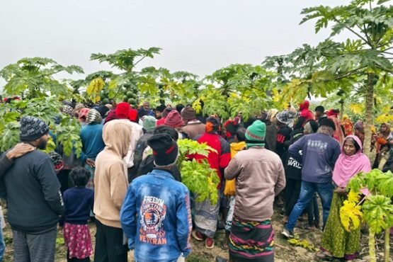 মেহেরপুরের হাড়াভাঙ্গা মাঠ থেকে যুবকের মরদেহ উদ্ধার