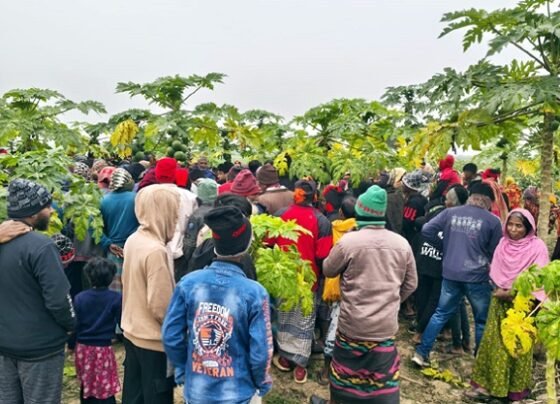 মেহেরপুরের হাড়াভাঙ্গা মাঠ থেকে যুবকের মরদেহ উদ্ধার