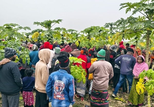 মেহেরপুরের হাড়াভাঙ্গা মাঠ থেকে যুবকের মরদেহ উদ্ধার