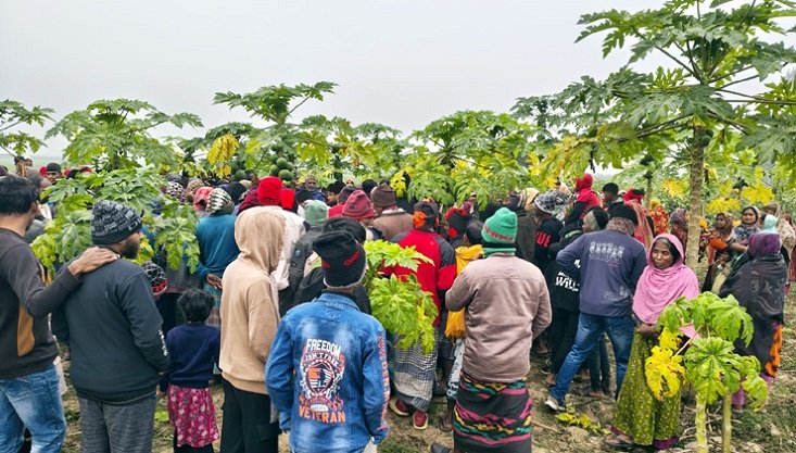 মেহেরপুরের হাড়াভাঙ্গা মাঠ থেকে যুবকের মরদেহ উদ্ধার