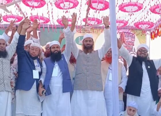 দেশের ভাগ্য পরিবর্তনের জন্য বড় রাজনৈতিক দলের প্রয়োজন নেই..ব্রাহ্মণবাড়িয়ায় মামুনুল হক