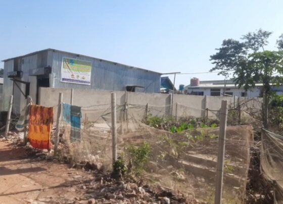 ভূমি থেকে অবৈধ দখল উচ্ছেদসহ হয়রানি থেকে মুক্তি চান ব্যবসায়ী ছোট্ট মিয়া