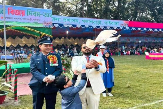 সর্বস্তরের মানুষের অংশগ্রহনে পলাশবাড়ীতে মহান বিজয় দিবস পালিত