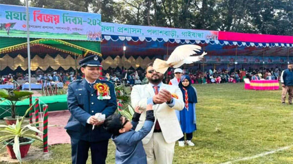 সর্বস্তরের মানুষের অংশগ্রহনে পলাশবাড়ীতে মহান বিজয় দিবস পালিত