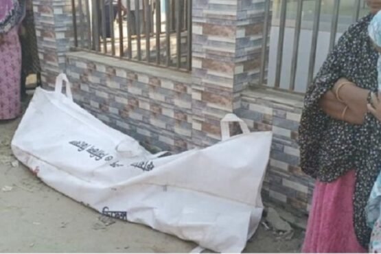 পঞ্চগড়ে ট্রাকের চাপায় স্ত্রী নিহত, স্বামী আহত