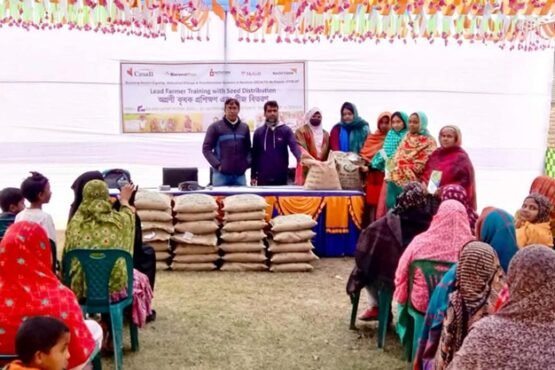 ঠাকুরগাঁওয়ে জিংক ধানের সম্প্রসারণে অগ্রণী কৃষকদের প্রশিক্ষণ ও বীজ বিতরণ