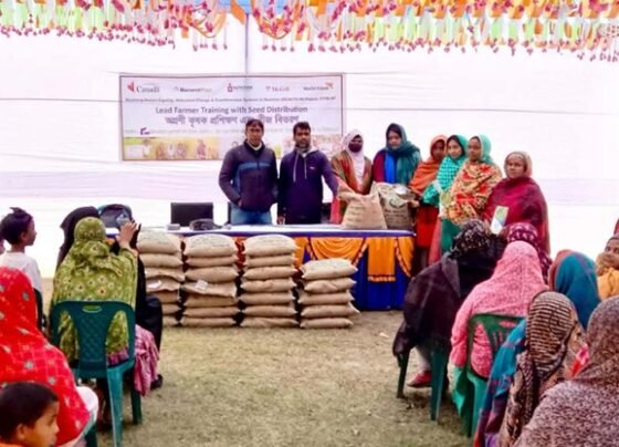 ঠাকুরগাঁওয়ে জিংক ধানের সম্প্রসারণে অগ্রণী কৃষকদের প্রশিক্ষণ ও বীজ বিতরণ