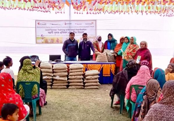 ঠাকুরগাঁওয়ে জিংক ধানের সম্প্রসারণে অগ্রণী কৃষকদের প্রশিক্ষণ ও বীজ বিতরণ