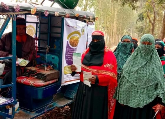 ঠাকুরগাঁওয়ে জিংক ধান ও গমের সম্প্রসারণে সপ্তাহব্যাপী প্রচারণা