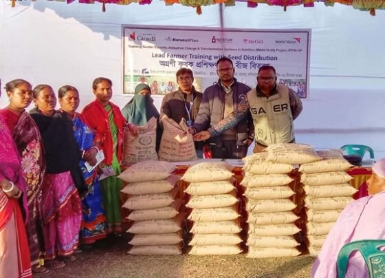 ঠাকুরগাঁওয়ে ৮৫জন ‍কৃষকের মাঝে বিনামূল্যে জিংক ধানের বীজ বিতরণ