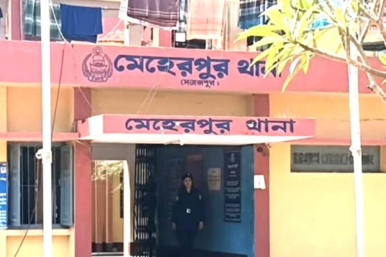 মেহেরপুরে গৃহবধূ হত্যার ঘটনায় তিন কিশোর আটক