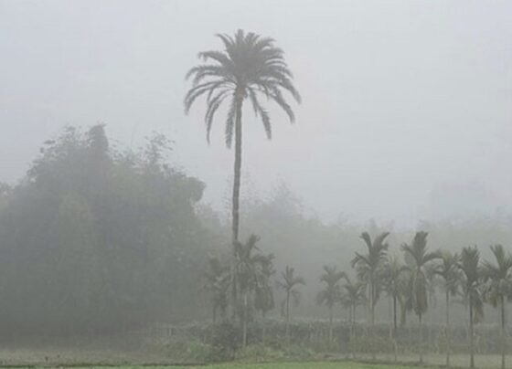 ১৩ জেলায় শীত নিয়ে দুঃসংবাদ