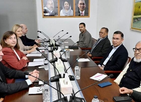 তারেক রহমানের সঙ্গে ইইউ রাষ্ট্রদূতের সাক্ষাৎ