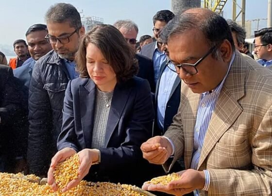 চট্টগ্রাম বন্দরে এলো যুক্তরাষ্ট্রের ৫৭ হাজার ৮৫৫ টন ভুট্টা