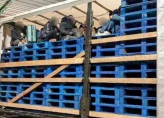 লন্ডন থেকে লরিতে ফ্রান্সে পাচার: ২৩ বাংলাদেশি উদ্ধার