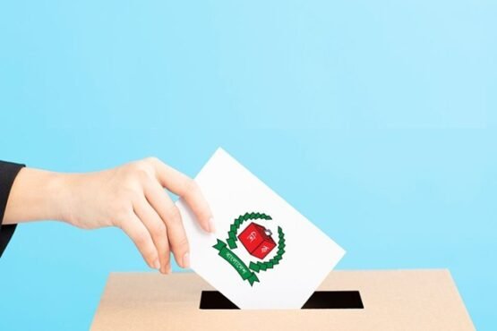 ঠিকানা খুঁজে না পাওয়ায় ফেরত এসেছে সাড়ে ৫ হাজার পোস্টাল ব্যালট